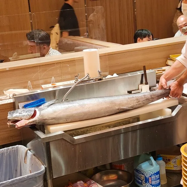 회전스시 긴자 오노데라 오사카점의 조리대 위에 놓인 큰 은빛 생선