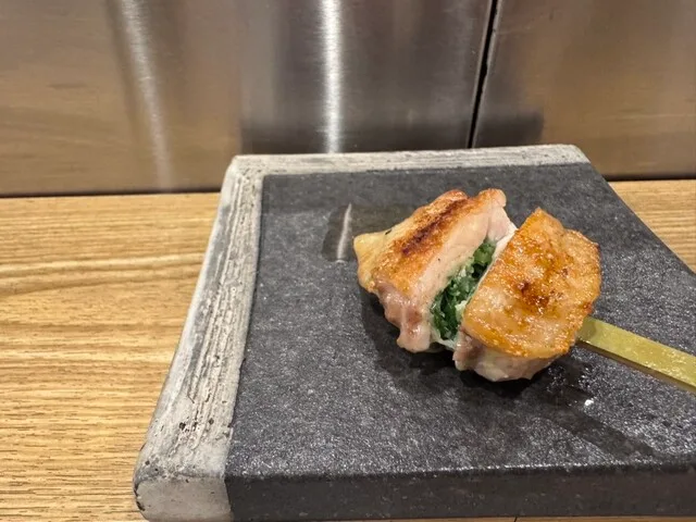 야키토리 히카리