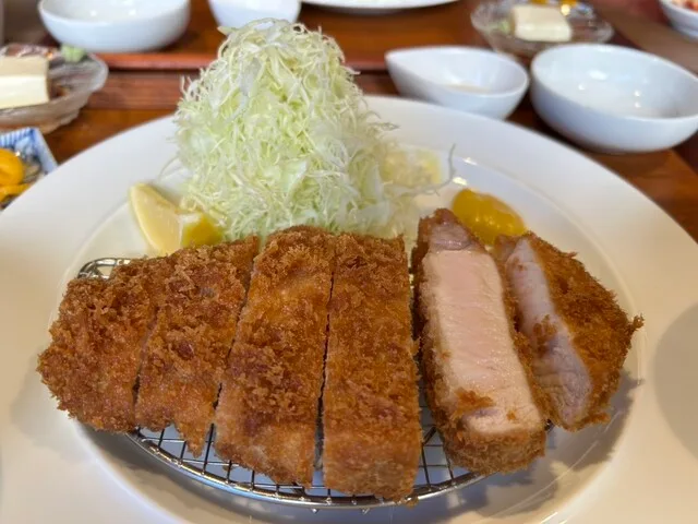 뉴 프릿츠 타노우에