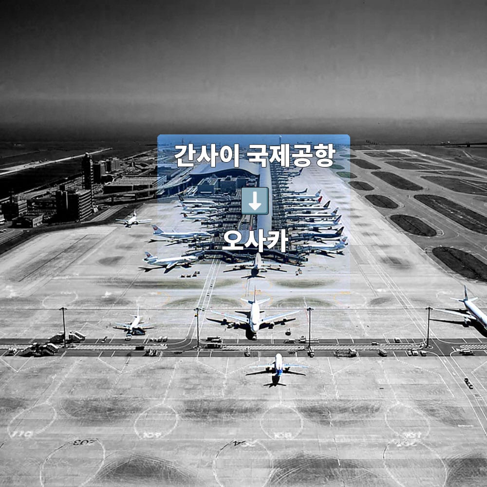 공중에서 바라본 간사이 국제 공항의 모습